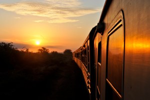 Kenya Train